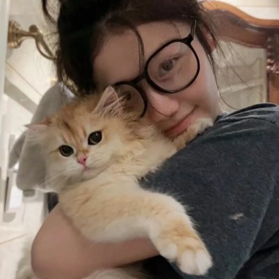 猛虎3 在线观看